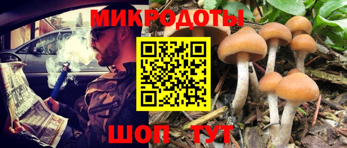 Галлюциногенные грибы Cubensis Ейск