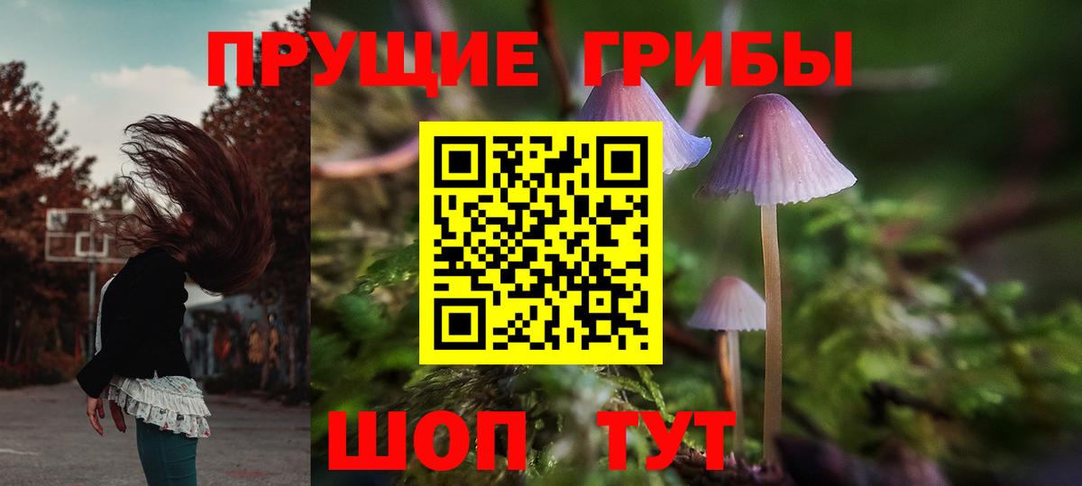 Ейск  Псилоцибиновые грибы Magic Shrooms  Вход с VPN 